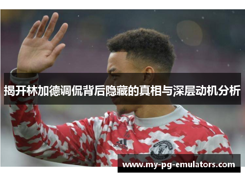 揭开林加德调侃背后隐藏的真相与深层动机分析