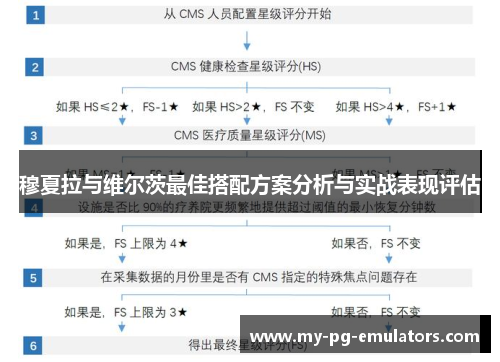 穆夏拉与维尔茨最佳搭配方案分析与实战表现评估