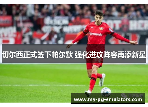 切尔西正式签下帕尔默 强化进攻阵容再添新星 切尔西正式签下帕尔默 强化进攻阵容再添新星